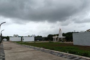 37.jpg